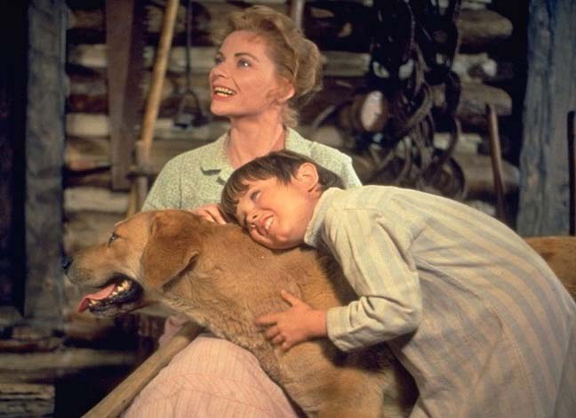 Best Dog Movies of All Time Old Yeller (1957)