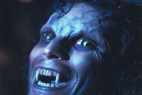 Best Werewolves Movies of All Time The Howling (1981)
